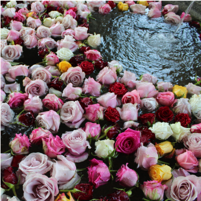 Fountain with roses