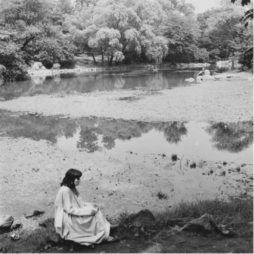 Center for Art Law Susan (Central Park) Legacy Over Licensing Josie Goettel